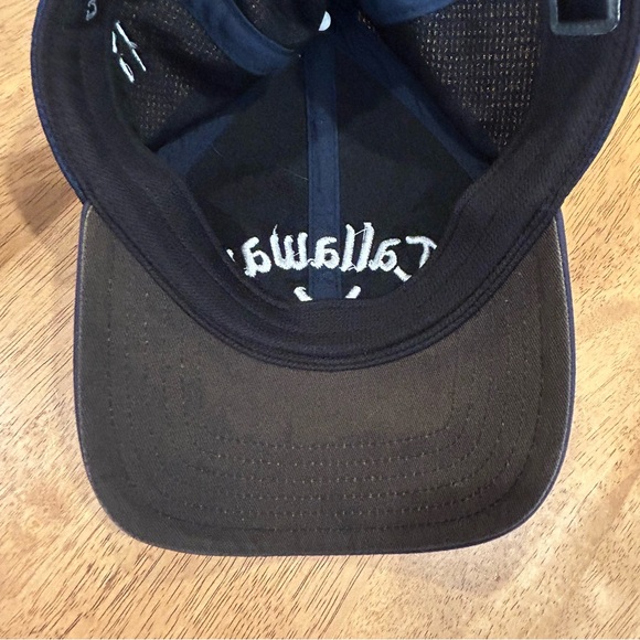 Callaway Big Bertha Speed Regime Blue Golf Ball-cap - Picture 5 of 7